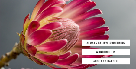 believe, hope